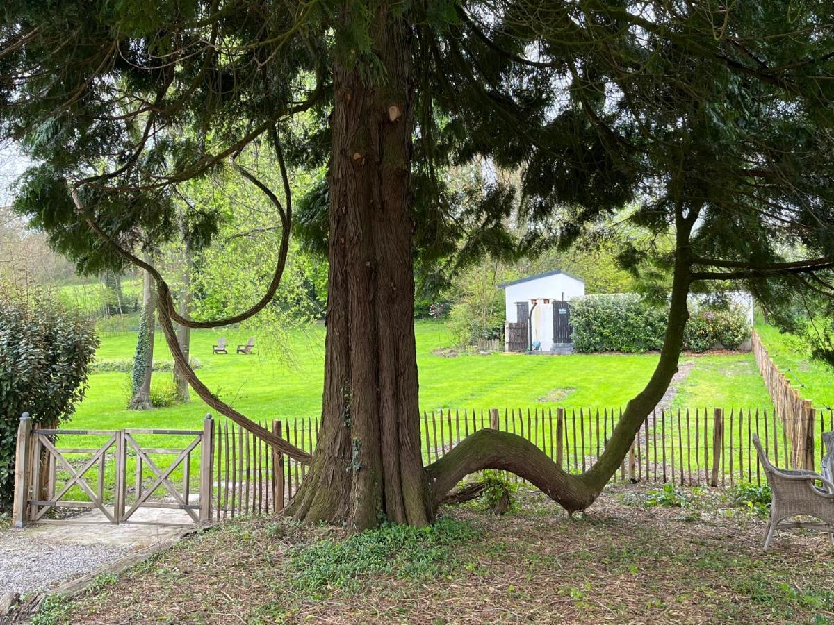 לינה וארוחת בוקר Doudeauville Domaine De La Course מראה חיצוני תמונה